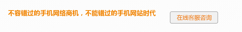 不容錯過的手機網(wǎng)絡(luò)商機，不能錯過的手機網(wǎng)站時代