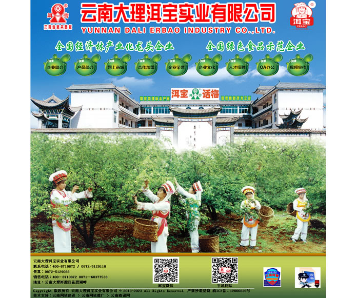 云南網(wǎng)站建設(shè)、昆明網(wǎng)站建設(shè)、云南網(wǎng)站制作、昆明網(wǎng)站制作、云南微網(wǎng)站制作、云南網(wǎng)站優(yōu)化推廣、大理網(wǎng)站建設(shè)、麗江網(wǎng)站建設(shè)、大理網(wǎng)站制作、麗江網(wǎng)站制作、保山網(wǎng)站建設(shè)、德宏網(wǎng)站建設(shè)、文山網(wǎng)站建設(shè)、楚雄網(wǎng)站建設(shè)、紅河網(wǎng)站建設(shè)、云南政府網(wǎng)站建設(shè)、普洱網(wǎng)站建設(shè)